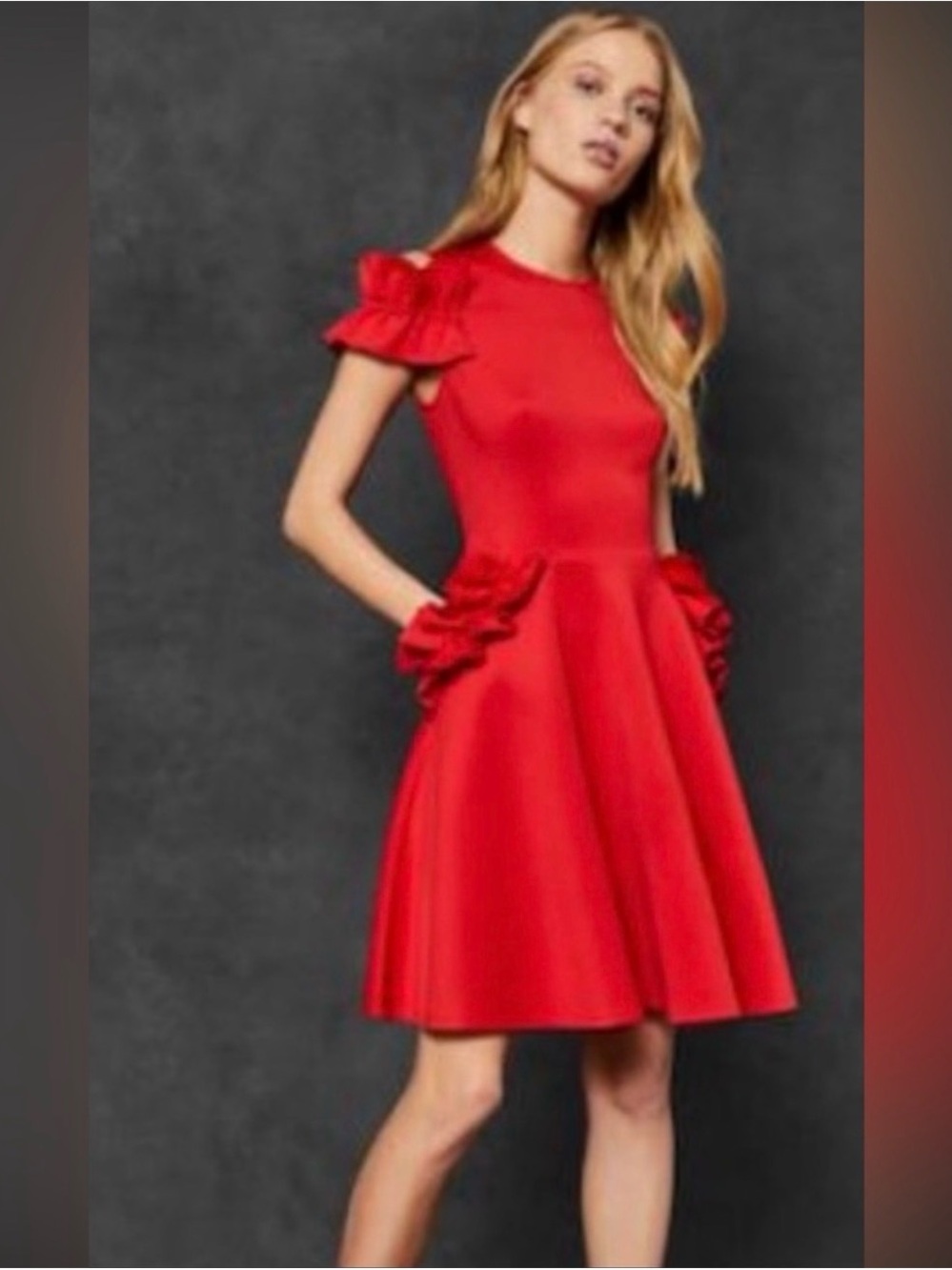 Ted Baker Luuciee (or Deneese) Ruffle Skater Dress